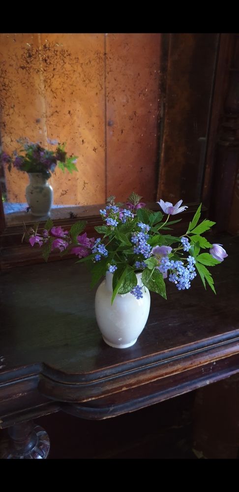 Photograph by Lina D