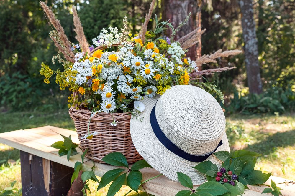 Фотография автора Альбина Кадочникова