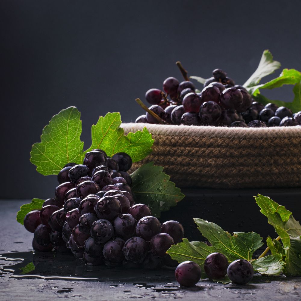 Photograph by bahar zahedi