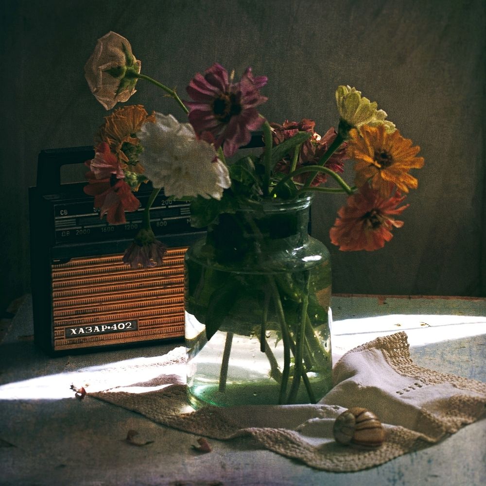 Photograph by Ольга Мальцева