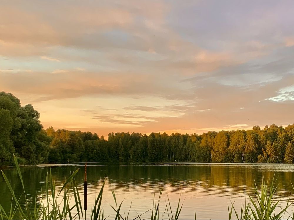 Photograph by Elena Lukashina