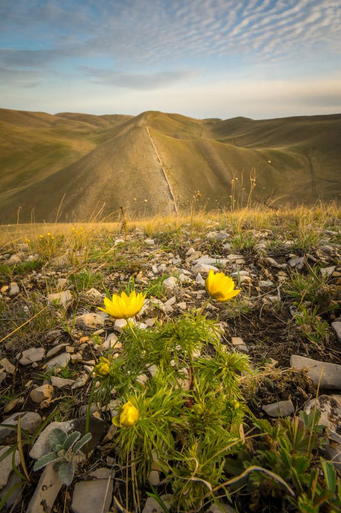Photograph by Жданов Дмитрий