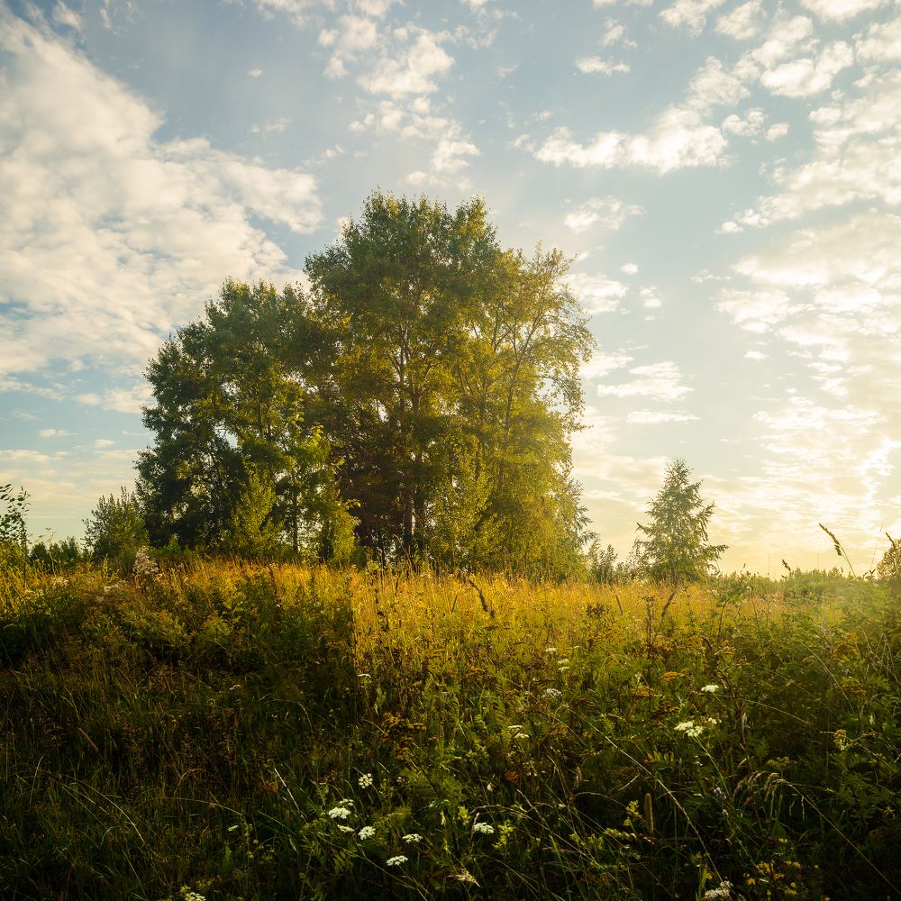 Фотография автора Панагушин Сергей