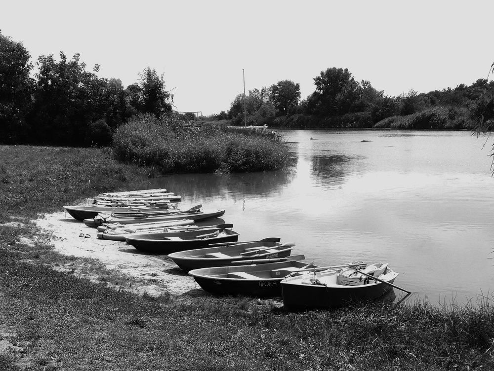 Photograph by Анна Матецкая