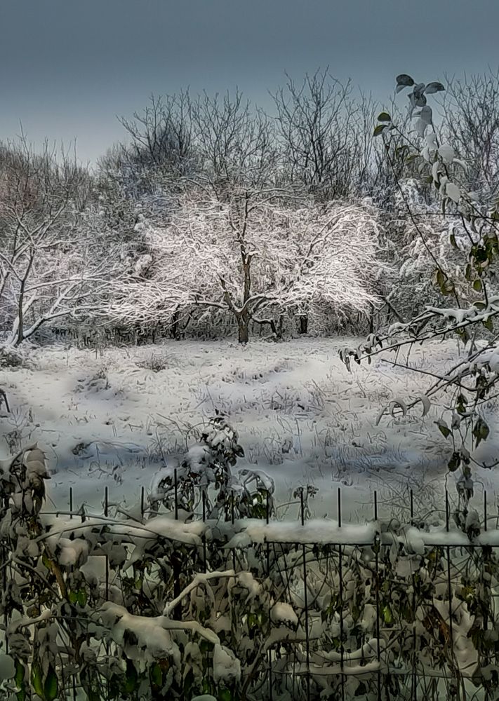 Photograph by Леонид Борисенко