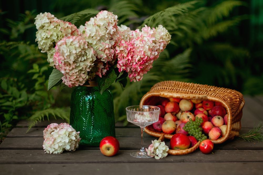 Photograph by Ольга Сесина