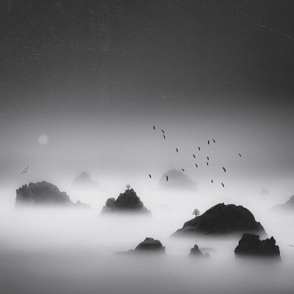 Photograph by iman hafezkhan