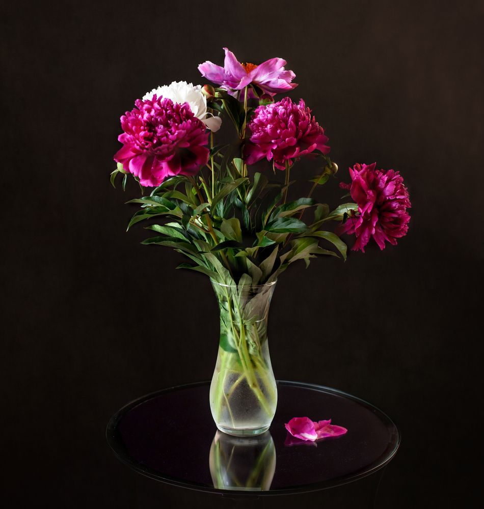 Photograph by Ирина Бабенкова