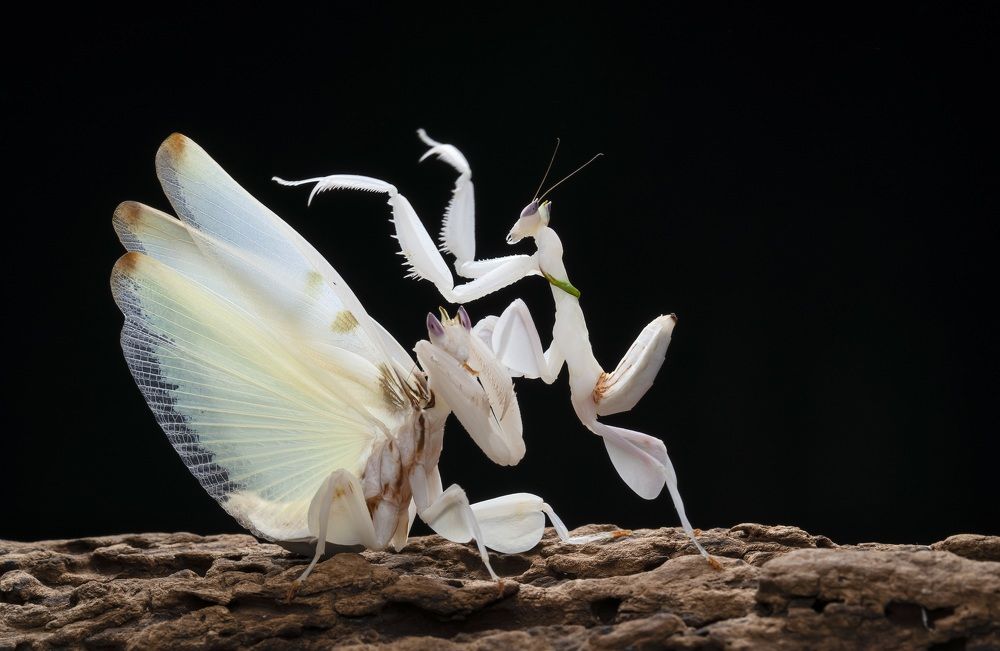 Photograph by Catherine Chong