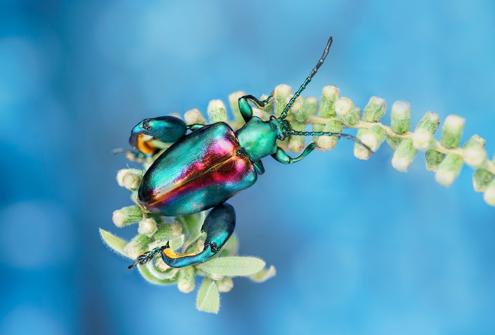 Photograph by Catherine Chong