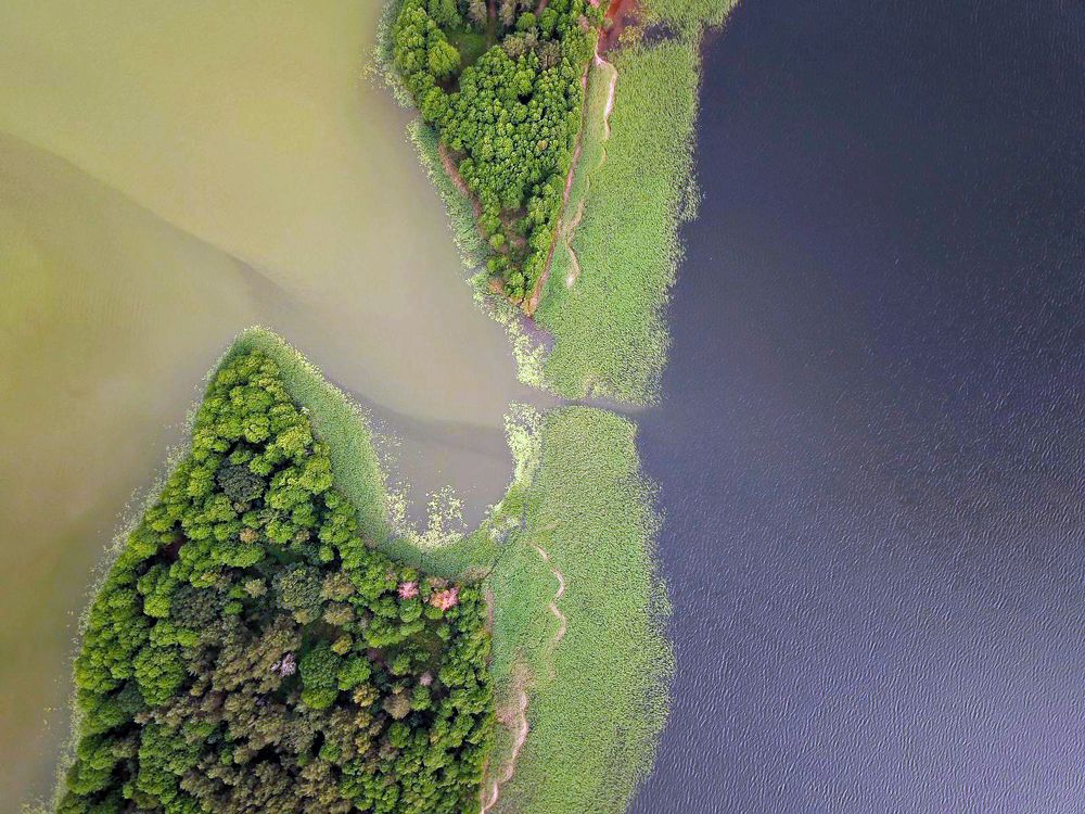 Photograph by Юлия Абрамова