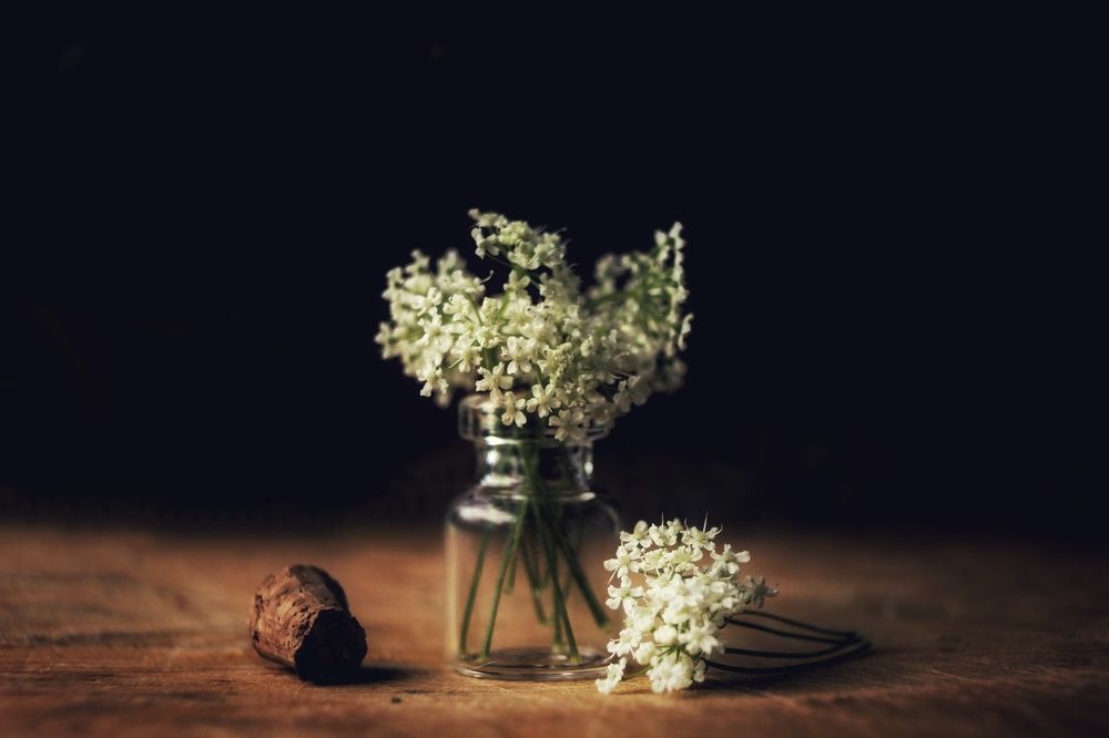 Photograph by Natalya Popova