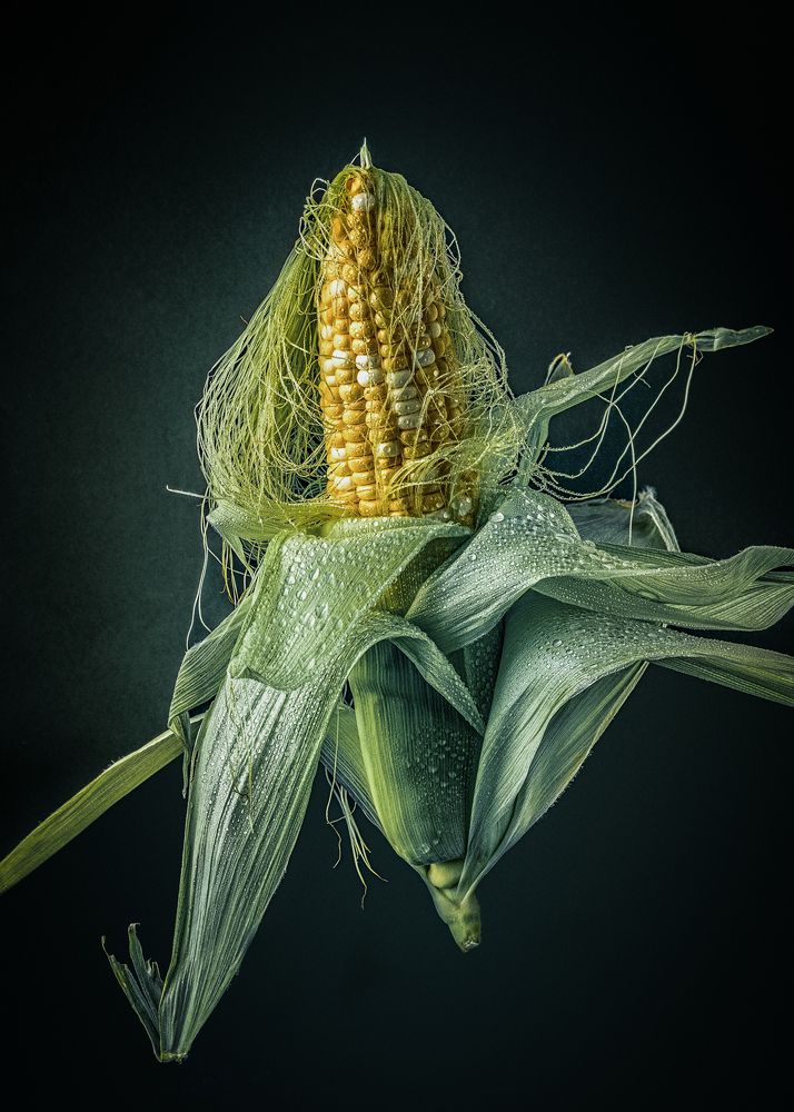 Photograph by Дмитрий Шиперко