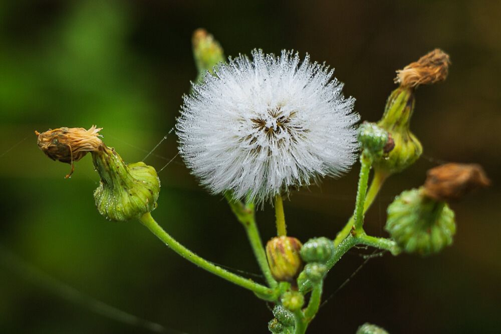 Photograph by Юрий Десятов