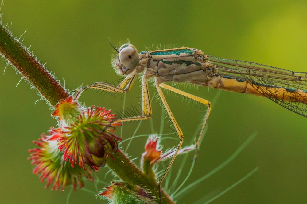 Перед взлетом