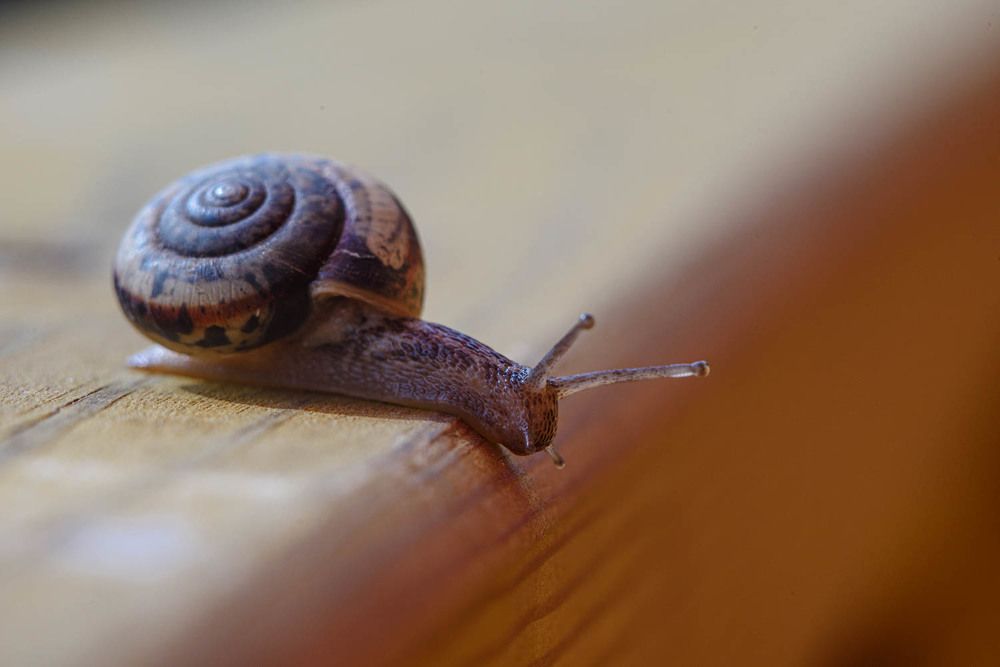 Photograph by Равиль Исмаилов