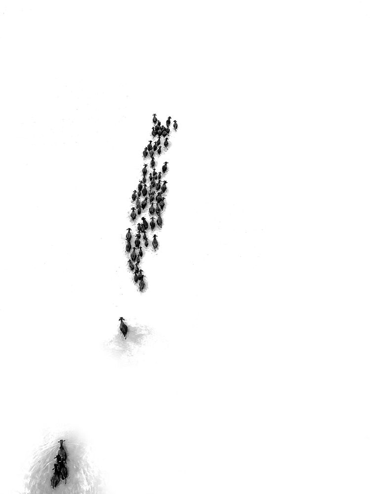 Photograph by Dinh Phong