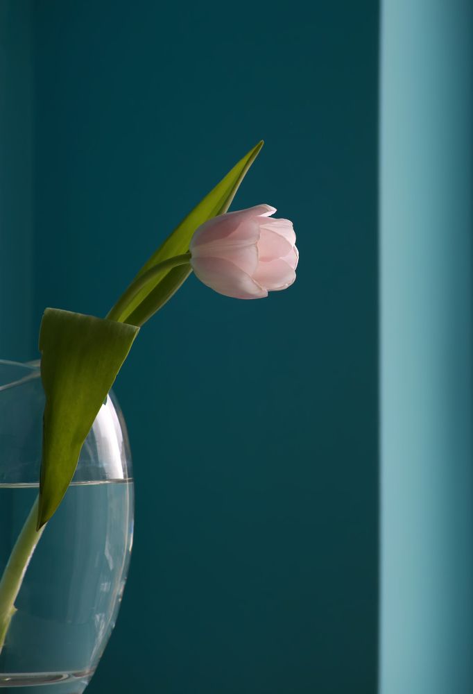 Photograph by Ralitsa Byalkova