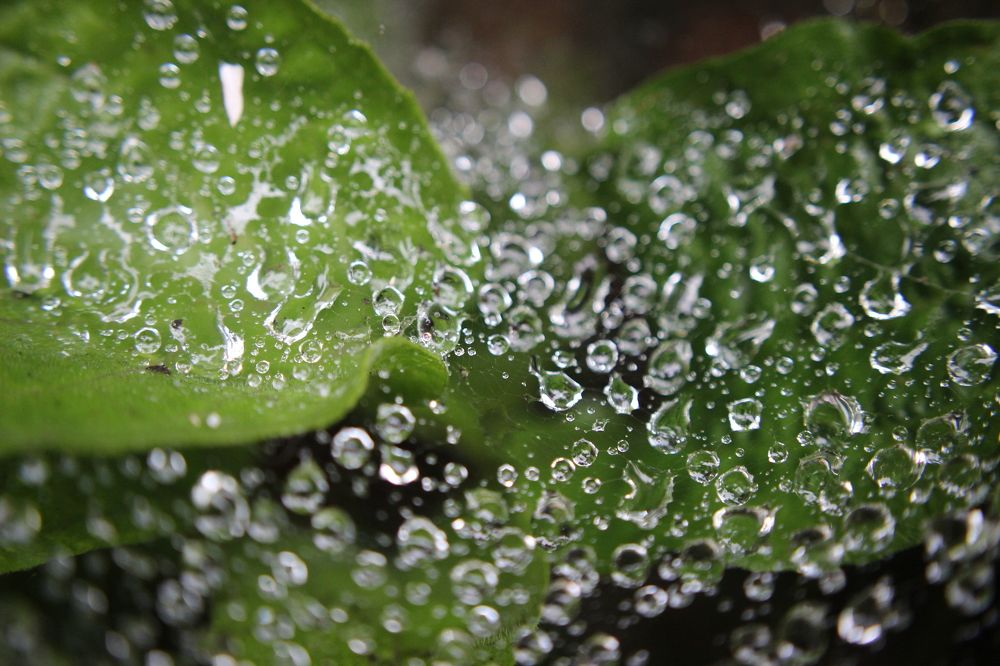 Photograph by Марина Евграфова