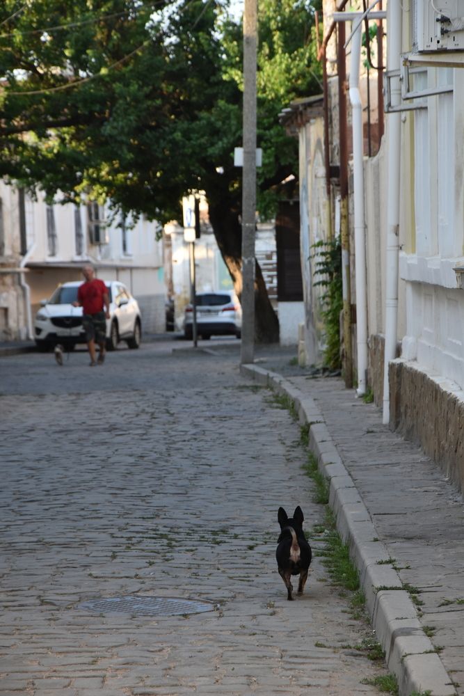 Photograph by Konstantin Kalmykov