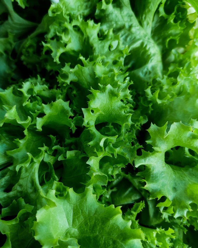 Photograph by Максим Зенкевич