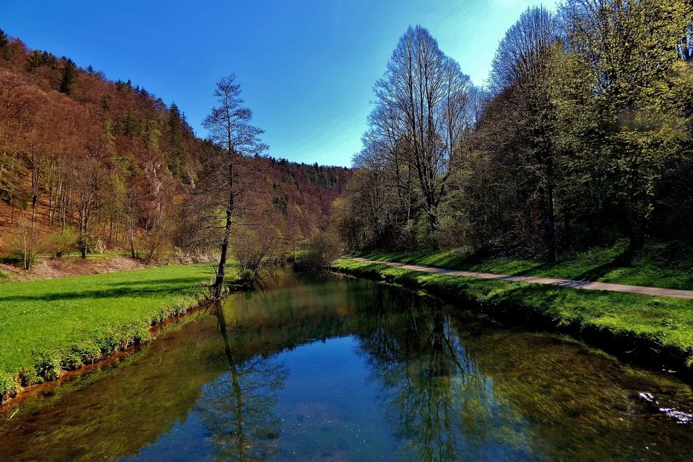 Photograph by backareva irina