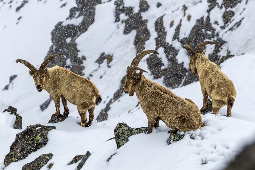 Photograph by Константин Кукушкин