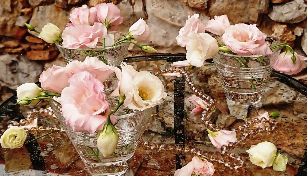 Photograph by Nadzeya