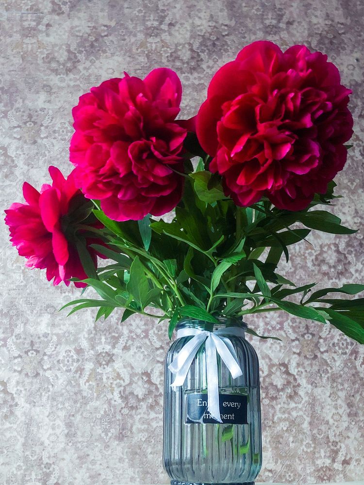 Photograph by Анастасия Волошина