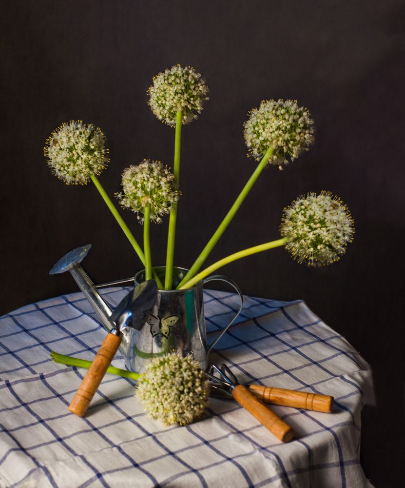 Photograph by Ирина Бабенкова