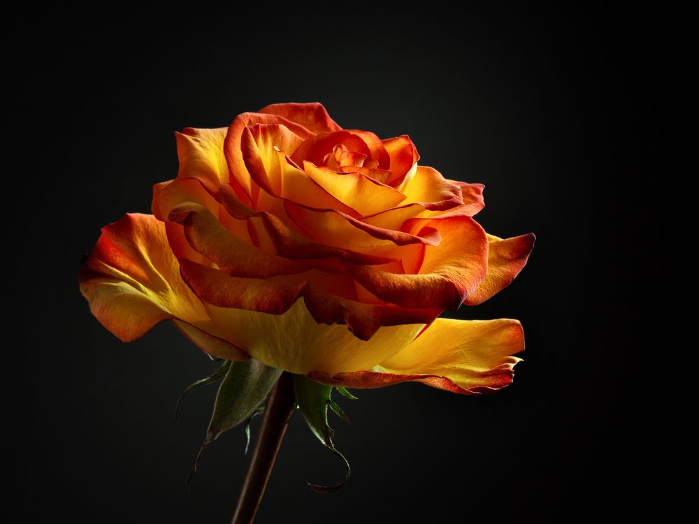 Photograph by Андрей Егоров