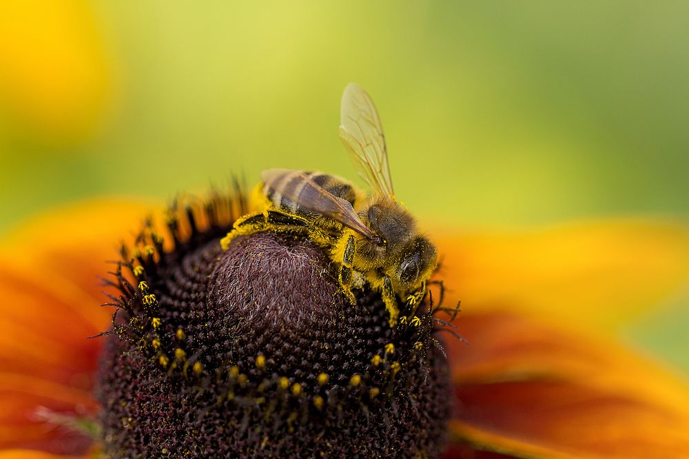 Фотография автора Елена Ельшина