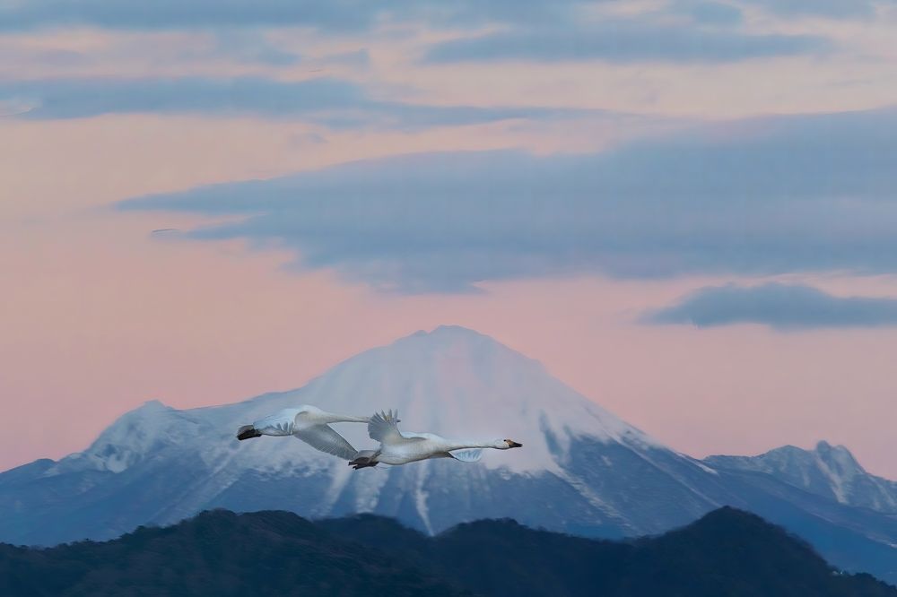 Photograph by Ohta Sigeki
