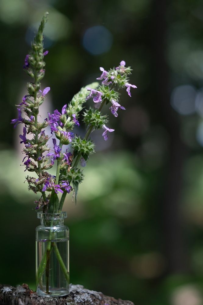 Photograph by Яна Соболева