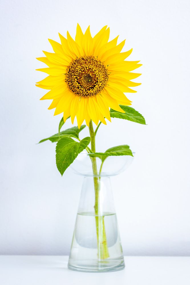 Photograph by Артём Бабенов