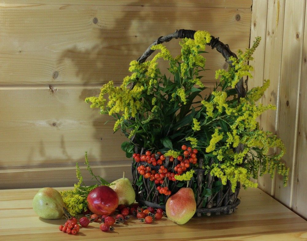 Photograph by Светлана Соколова