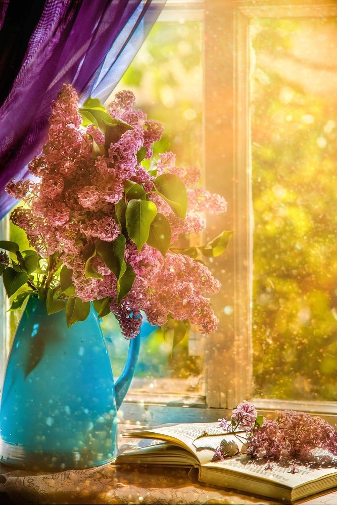 Photograph by Viktor Sheibak