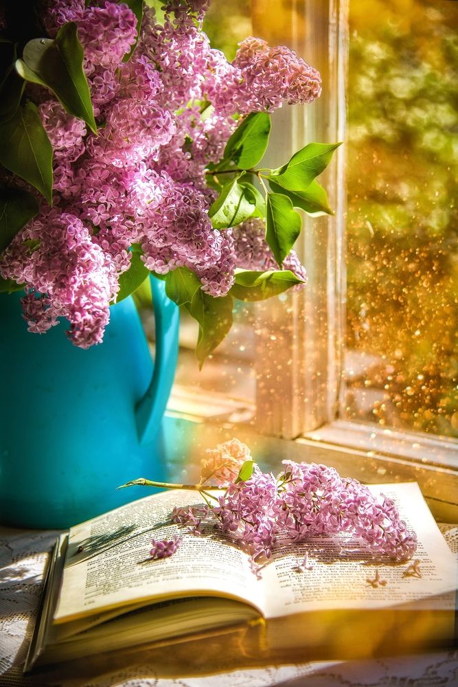 Photograph by Viktor Sheibak