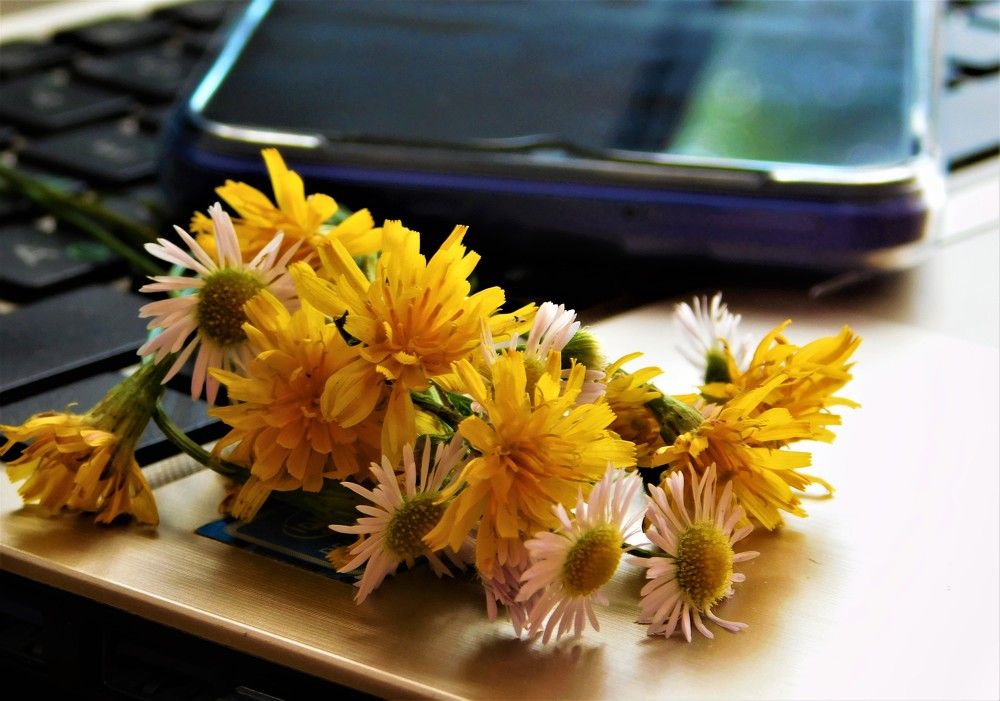 Photograph by Виктория Спицына