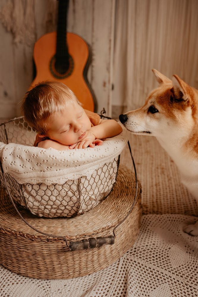 Photograph by Ainara Moreno San Miguel