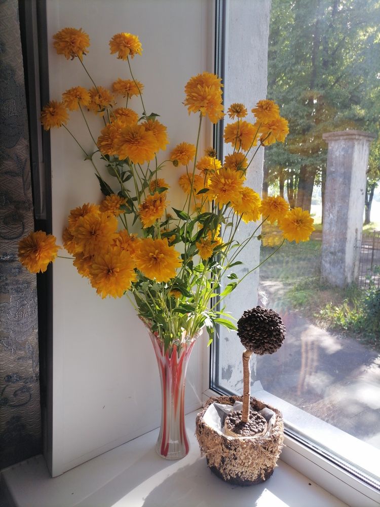 Золотые шары.