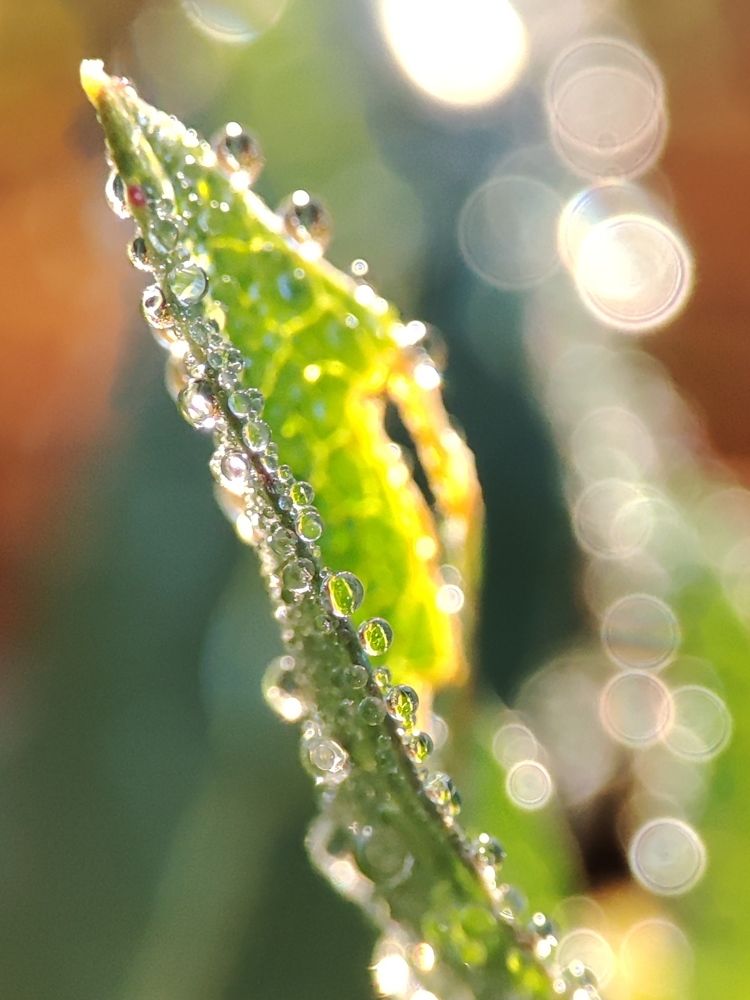 Photograph by Юлия Гинтер