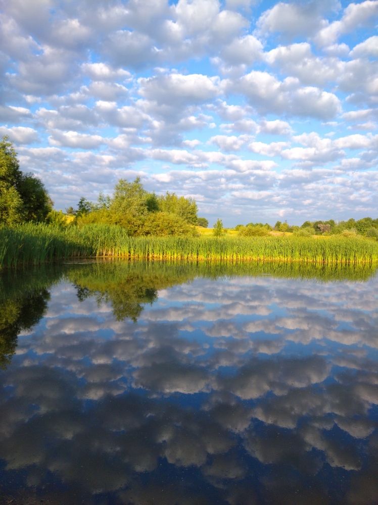 Photograph by Елена Коробченко