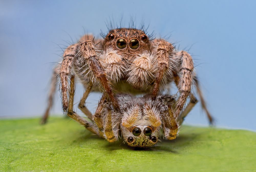 Photograph by Abolfazl Arab