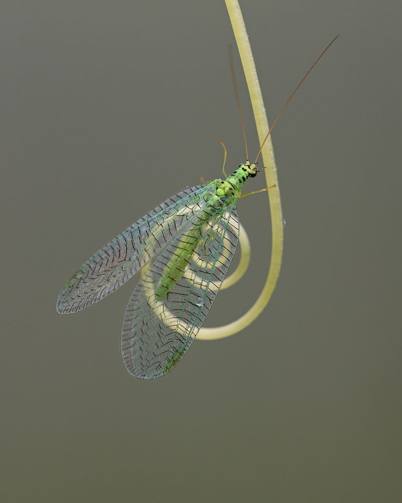 Photograph by Анатолий Васильев