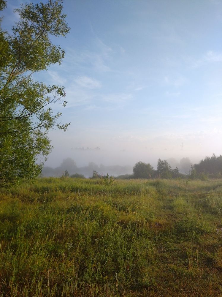 Photograph by Елена Коробченко