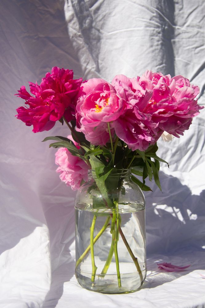 Photograph by Natalia Everatt