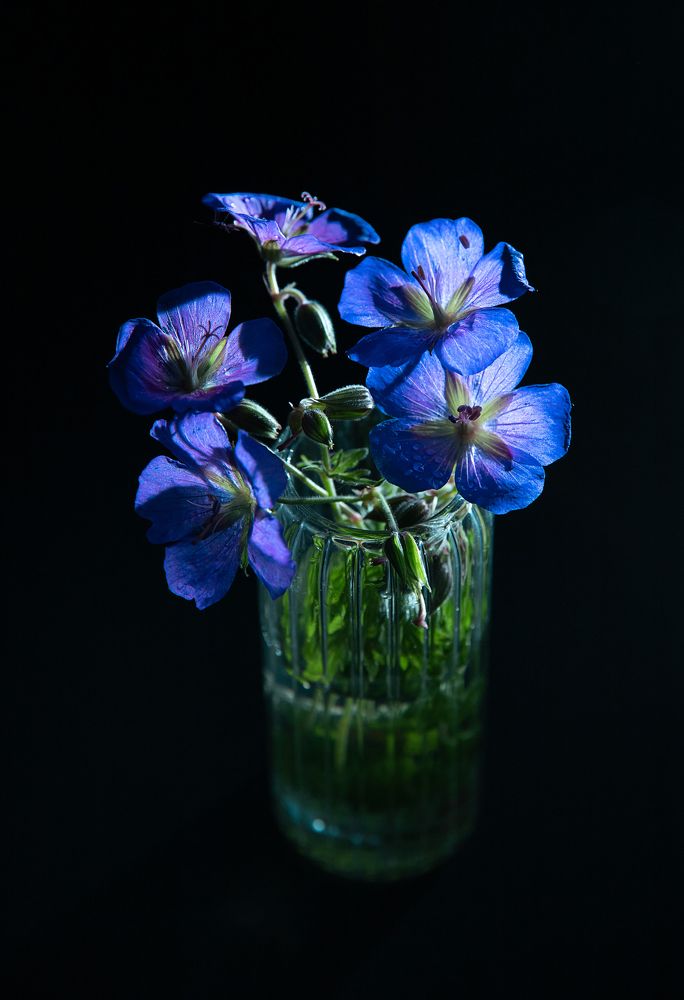 Photograph by Анна Малютина