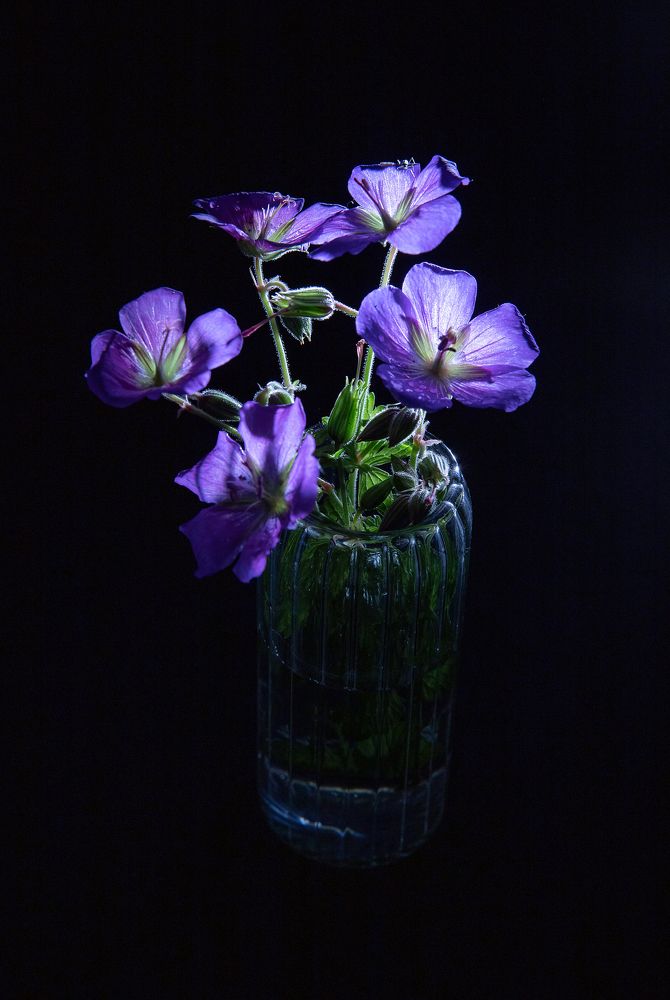 Photograph by Анна Малютина