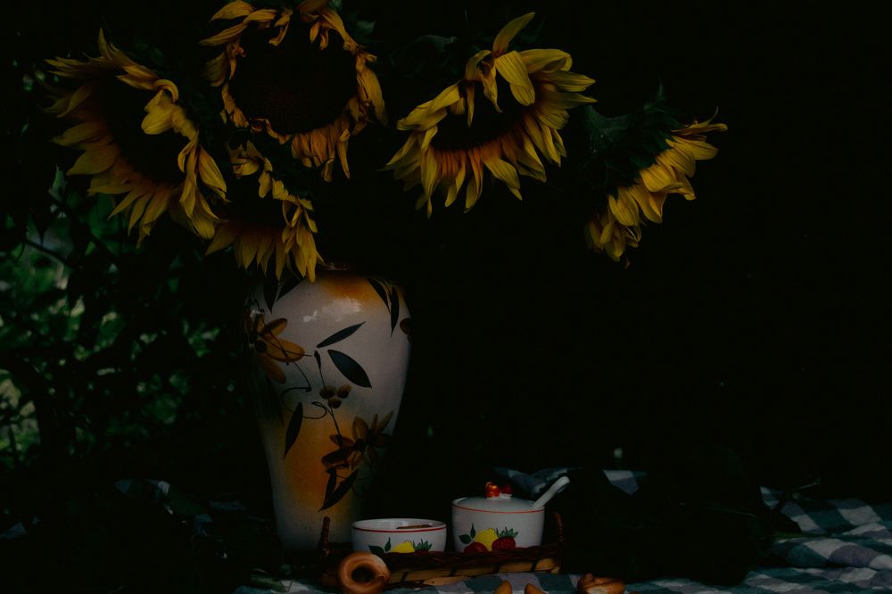 Фотография автора OXANA MARSOVA